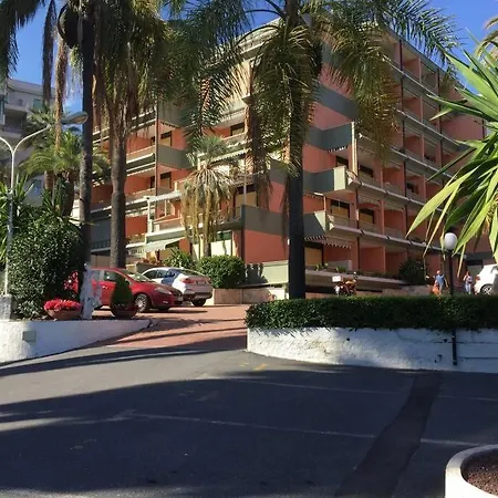 Mimosa San Remo